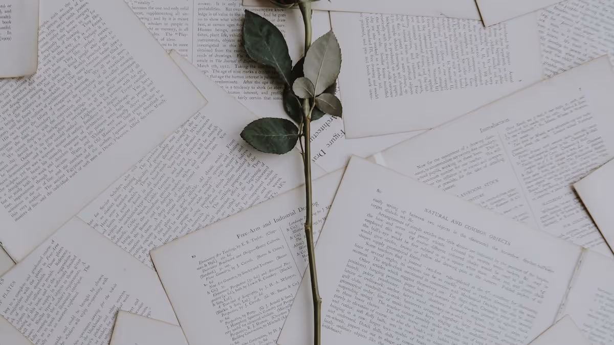 Couple looking at a night sky together