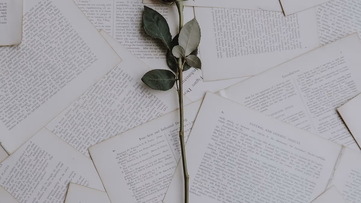 Couple looking at a night sky together