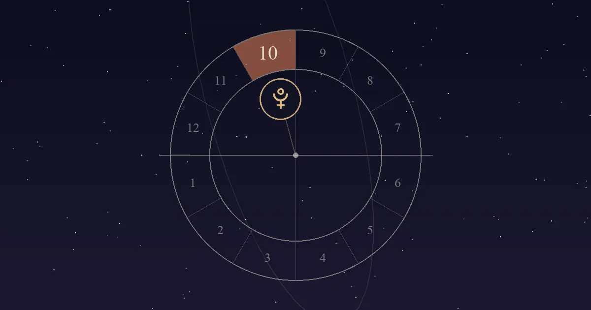 A birth chart wheel with the 10th house at the top of the chart shaded terracotta and the Pluto symbol placed inside it
